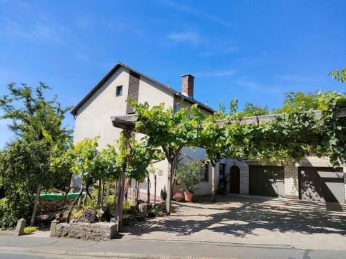 Apartamento Ferienwohnung Gutermuth Obereisenheim