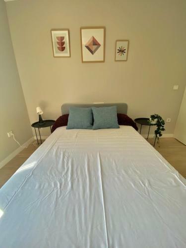 Nuevo Gran Apartamento Laronda