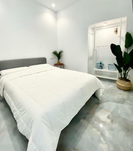 Nuevo Apartamento Isasa 3