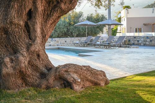 Paul's Villa Plakias