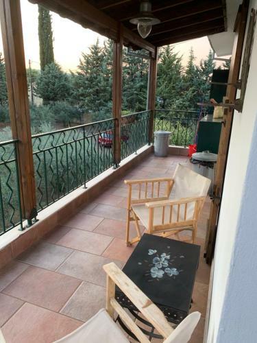 Zeusplace Olive Trees Countryhouse