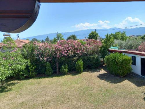 Private Two-floor Holiday House In Leptokarya