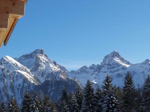 Apartamento Chalet Tschengla