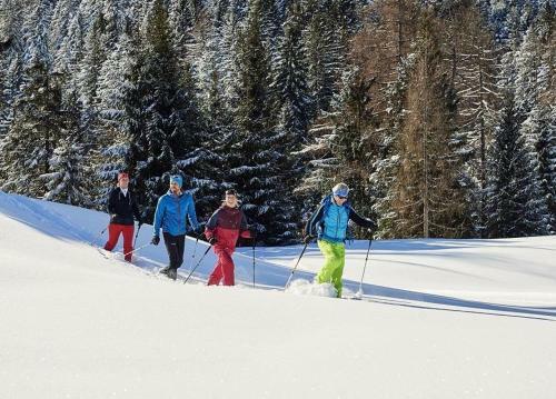 Apartamento Chalet Tschengla