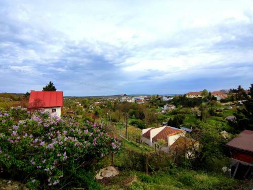 Wine House Znojmo