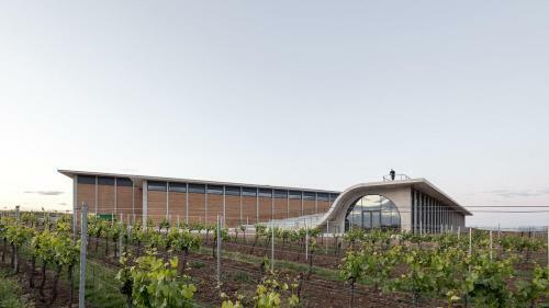 Wine House Znojmo