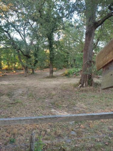 Maisonnette Vue Sur For�t