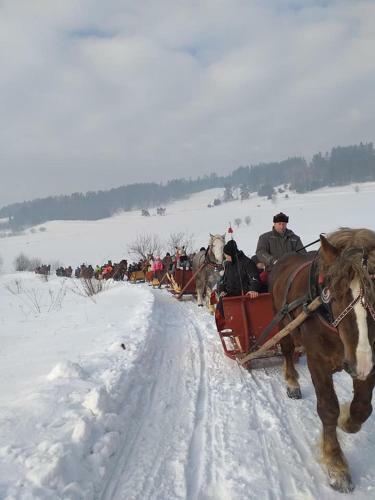 Go?ciniec Dziubasowki