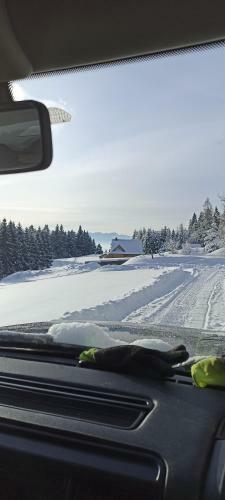 Go?ciniec Dziubasowki