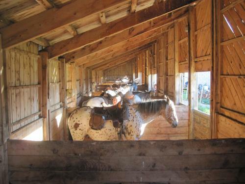 Hostal G�te Equisud - Demi-pension Inclus