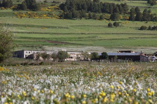 Hostal G�te Equisud - Demi-pension Inclus