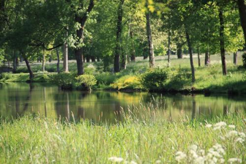 Bed & Breakfast Ch�teau De Brissac