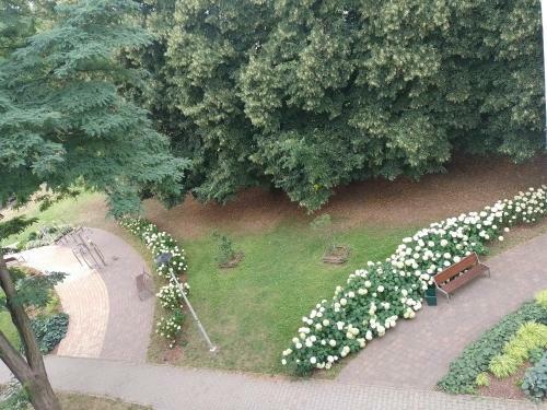 Apartamento Ko?obrzeska 22
