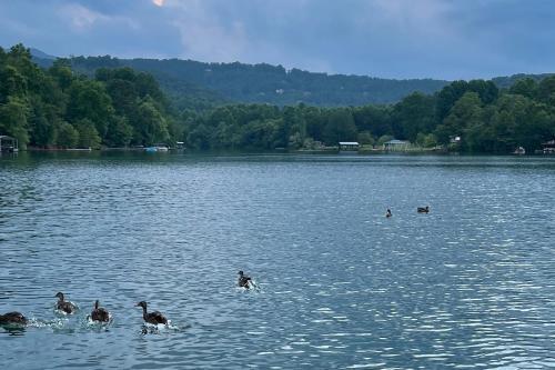 Talend Place On Lake Chatuge