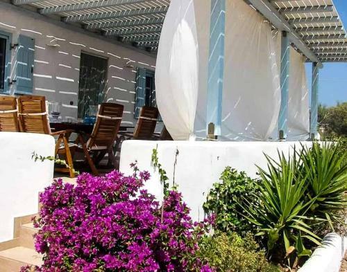 Villa Pure Paros House