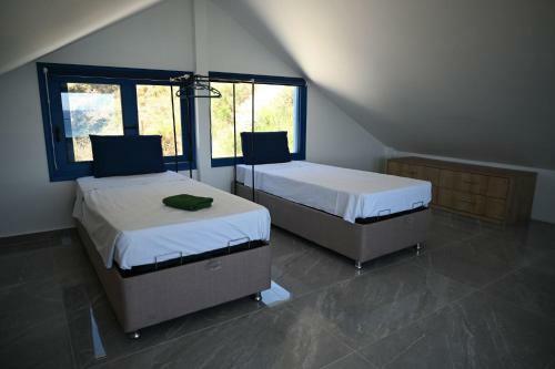 Two Lemons & Two Balcony Apartments