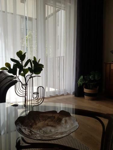 Apartament Old Town Wes Quality Suite