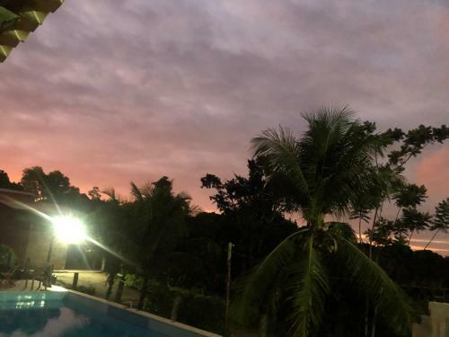 Canto Dos P�ssaros