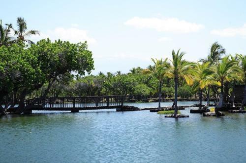Apartamento Palm Villas G 1 32 Great Value