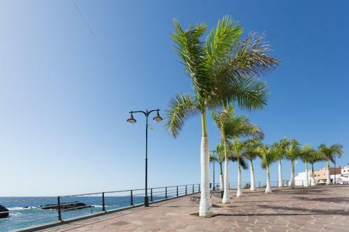 Apartamento Con Gran Terraza Chill Out