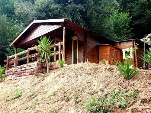 Caba�a Madera En Bosque Y Playa Bizkaia