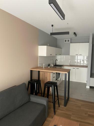 Apartament Serock