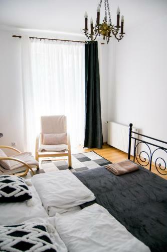 Color 24 Apartament V