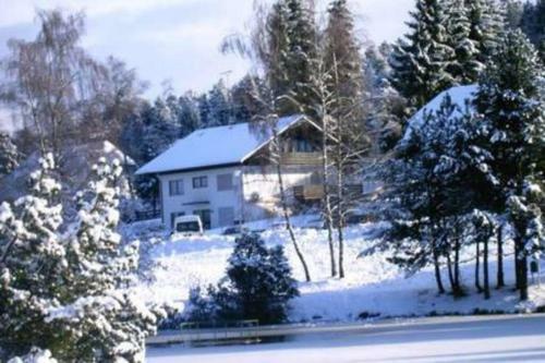 Apartamentos Ferienwohnung "am Skilift"