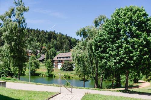 Apartamentos Ferienwohnung "am Skilift"