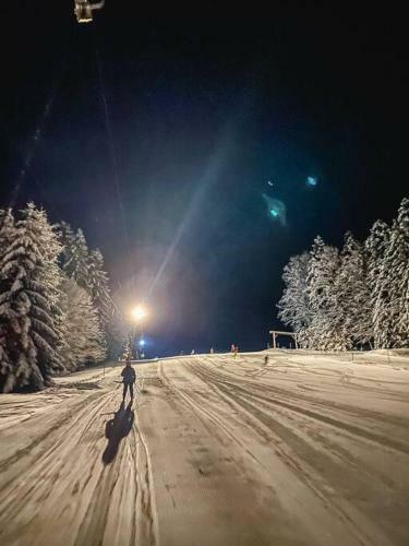 Apartamentos Ferienwohnung "am Skilift"