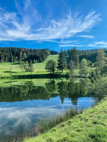 Apartamentos Ferienwohnung "am Skilift"