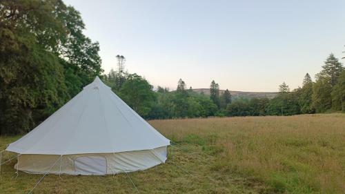 Broomholm Glamping