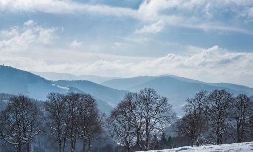 Apartamento Haus Panoramablick - Fewo Storchennest, H�chenschwand