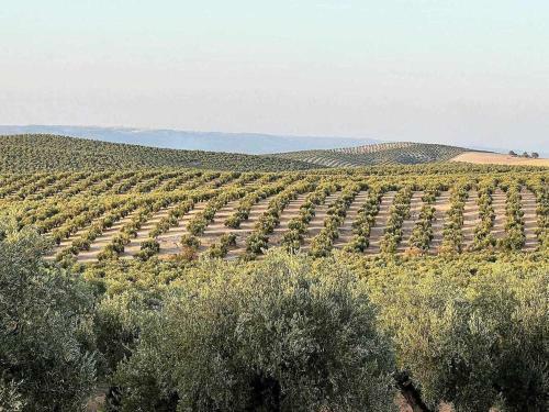 Villas Rurales Arroyovil 28 Ideal Familias