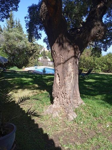 Villa El Alcornoque 75
