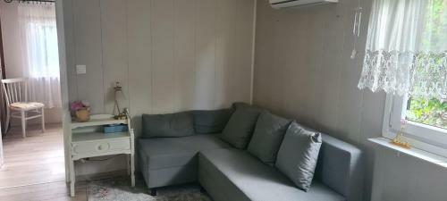 Domek Ca?oroczny Z Ogr�dkiem