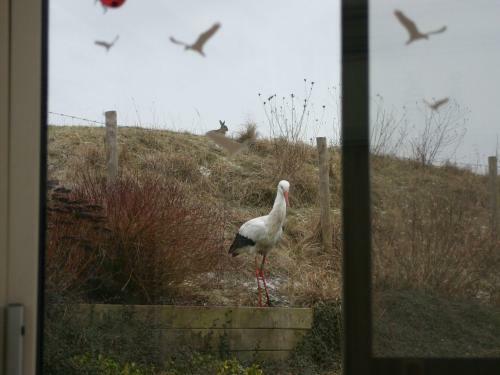 Holiday Home De Babbelaar Retranchement