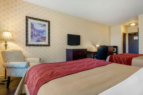 Hotel Comfort Inn & Suites Saint-nicolas