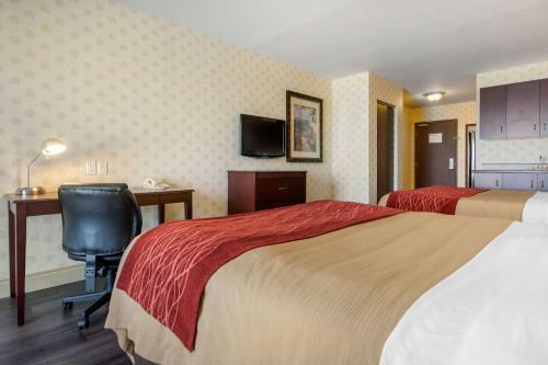 Hotel Comfort Inn & Suites Saint-nicolas