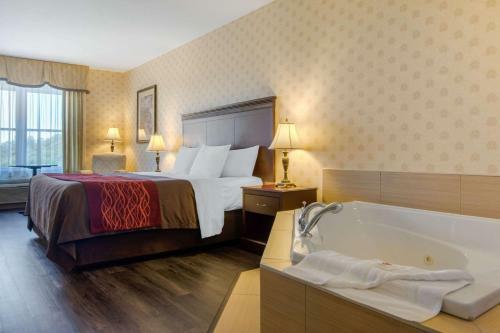 Hotel Comfort Inn & Suites Saint-nicolas