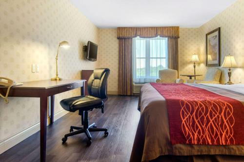 Hotel Comfort Inn & Suites Saint-nicolas