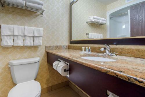 Hotel Comfort Inn & Suites Saint-nicolas
