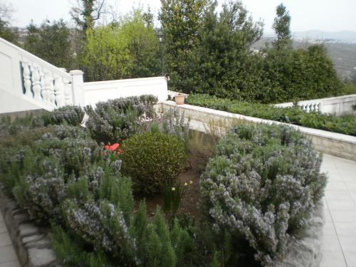 Apartamentos Villa Antonio
