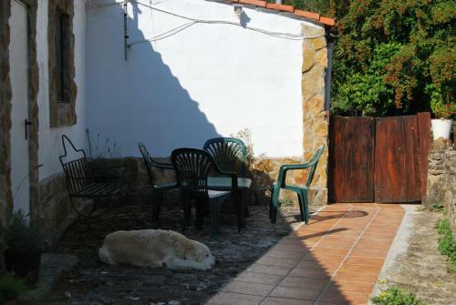 Apartamento Petit