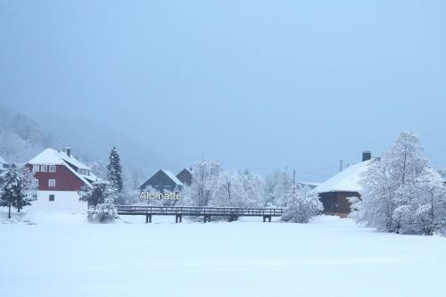 Apartamento B5 Schwarzwald-fewo An Der Alb