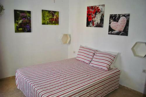 Apartment Overlooking Golf Course 791
