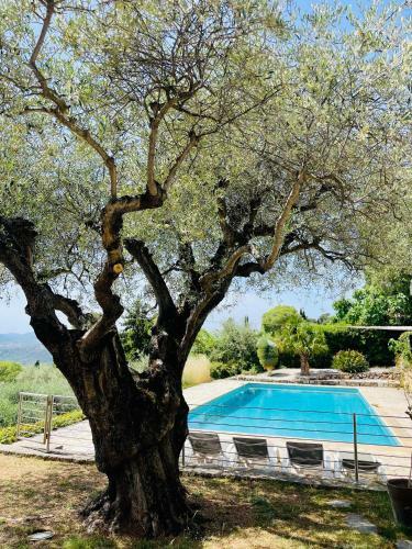 Villa Atypique Avec Piscine Chauff�e Et Vue Mer