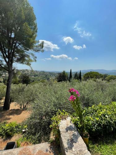 Villa Atypique Avec Piscine Chauff�e Et Vue Mer