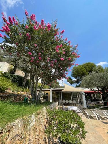Villa Atypique Avec Piscine Chauff�e Et Vue Mer