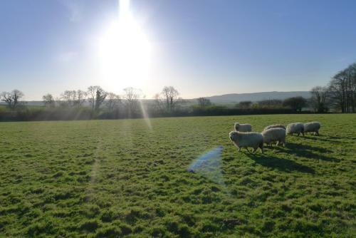 Tuell Farm Cottages